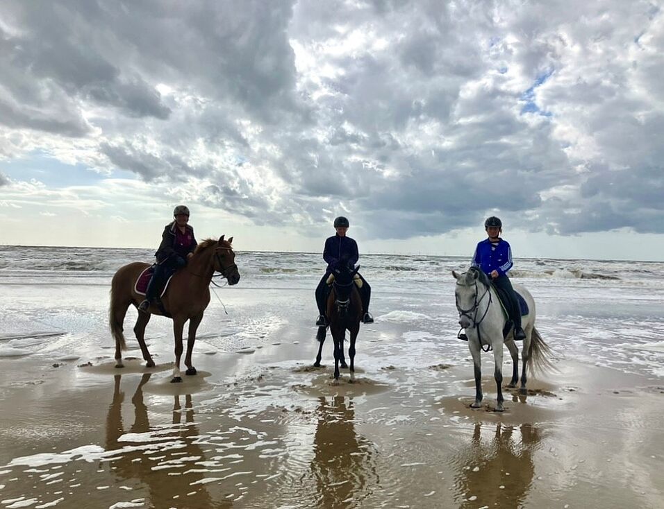 Foto Bernadette: Ausritt am Strand